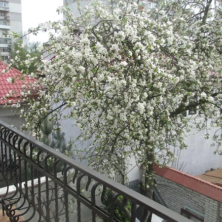 Музики Балкон * Lvov